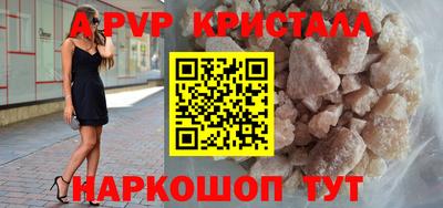 стаф Кунгур
