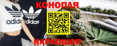 стаф Кунгур