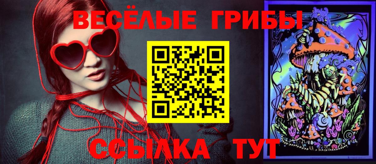 Псилоцибиновые грибы Psilocybine cubensis Воскресенск