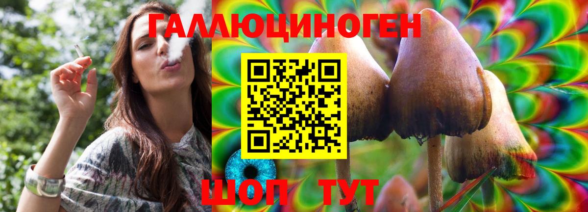 Галлюциногенные грибы Psilocybe  Вход с VPN  Воскресенск 